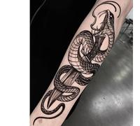 2 Tatuajes Temporales De Hierbas, Tatuaje Falso De Serpiente Oscura, Brazo, Jugo, Mujer, Hombre, Semipermanente, No Reflectante, Resistente Al Agua, Duración De 2 Semanas.