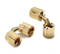 2 uds bisagras de barril cobre 8-18mm herrajes for muebles gabinete cilíndricos ocultos 10mm(16mm)