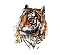 2 uds pegatinas de tatuaje temporal de medio brazo for adultos, pegatinas de tatuaje de tigre/zorro/impermeables(CH01)