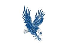 2 uds tatuaje de larga duración tinta de jugo tatuajes temporales impermeables hombres mujeres arte corporal tatuaje de ala de águila(CH01)