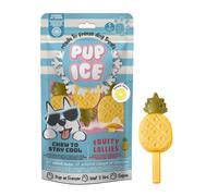 2 uds. x 90 g Pup Ice Helado Fruta Piña para perros