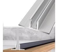 2 unidades de perfil en T de aluminio de alta resistencia de 1 m de profundidad para mamparas de ducha sin marco de 8/10/12 mm(T-Type Silver,12mm glass)