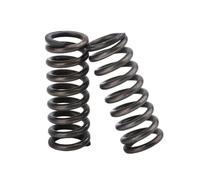 2 unidades resortes de compresión de acero 65Mn ennegrecido, diámetro del alambre 4mm, diámetro exterior 23mm, longitud 30mm, 4x23x30mm(2pcs)