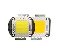2 unids COB LED chip DC12V 32V 10W 20W 30W 50W 70W 100W DIODO LED inteligente IC COB DIY Bulbo al aire libre Foco de reflexivo-Color blanco cálido_50W(30-36V)