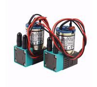 2 Unids / Lote JYY Bomba de Tinta PequeñA para Wit Color Impresora de Plotter Solvente Phaeton Humana 3W 24V100-200Ml Bomba de