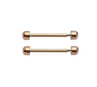 2 varillas de tubo de rosca para correa de reloj, cierre de pasador de fricción, pieza de fijación para reloj de pulsera, accesorio de reparación de reloj de 16/18/20/22 mm, hebilla de cierre de