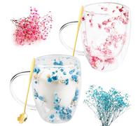 2 vasos de doble pared, 350 ml, vasos de cristal de doble capa, tazas de café aisladas de cristal, flores secas, doble cristal, tazas de capuchino de doble pared para capuchino, té, leche, cerveza
