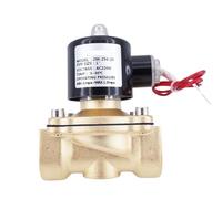 2 Way 2W Series Brass Coil Air Gas Water Copper Solenoid Valve 3/4 1 Inch Normally Close 2W200-20 2W250-25 Full Brass Coil Valve(1",DC24V)