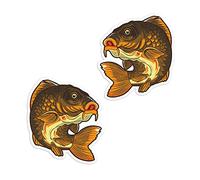 2 x 10 cm Carp Fish Vinilo Pegatinas - Agua Dulce Pesca Pegatina #70617