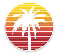 2 x 10cm Palm Tree Vinyl Sticker Decal Laptop Car Bike Tablet Travel Surf #9013 (10cm Wide x 10cm High)