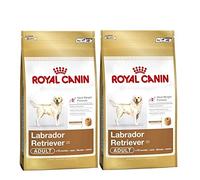2 x 12 kg Royal Canin Labrador Retriever 30 Multi-Buy Adulto comida para perro