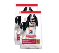 Hill's Science Plan Adult Large Breed Cordero 18 Kg