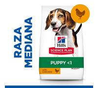 Hills Science Plan Puppy Medium alimento seco perro sabor pollo - Saco de 18 Kg