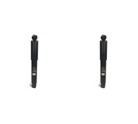 2 x Amortiguador JAPANPARTS para NISSAN, OPEL, RENAULT INTERSTAR, MASTER II