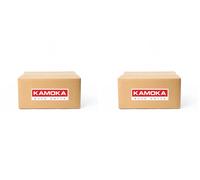 2 x Amortiguador KAMOKA para MERCEDES-BENZ KLASA GLK (X204)