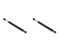 2 x Amortiguador MAXGEAR para FORD, MAZDA 2, FIESTA, FIESTA VI