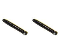 2 x Amortiguador MAXGEAR para NISSAN, OPEL, RENAULT INTERSTAR, MASTER II