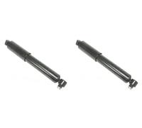 2 x Amortiguador NIPPARTS para NISSAN, OPEL, RENAULT INTERSTAR, MASTER II