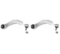 2 x Brazo de suspensión FAG para BMW 5 F10, 5 F11, 6 F06, 6 F12, 6 F13
