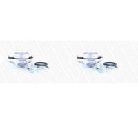 2 x Buje de cilindro del kit MONROE para CITROËN, FIAT, PEUGEOT BOXER, DUCATO