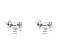 2 x buje silentblock de viga de suspensión TOPRAN para FORD, SEAT, VW ALHAMBRA