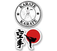 2 x Karate Vinyl Stickers iPad Laptop Car Martial Arts Japanese Gift Decal #4822
