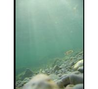 20,000 Leagues Under the Sea