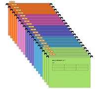 20 carpetas colgantes A4 con etiquetas de categoría para guardar y organizar documentos (cinco colores, cuatro de cada color)