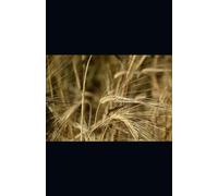 20% Discounts, Double the Drama: 1 BDC to Buy, 1 to Avoid