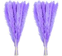 20 flores secas de hierba de la pampa negra natural de 45 cm, decoración de boda, fiesta, granja, decoración bohemia, ramo de cañas artificiales para decoración, color morado