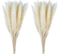 20 flores secas de hierba de las pampas de color negro natural de 45 cm, decoración de boda, fiesta, granja, decoración bohemia, plantas artificiales para decoración, color blanco