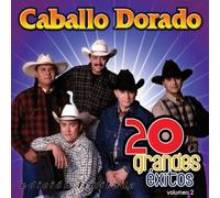20 Grandes Exitos 2