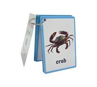 20 hojas de tarjetas de aprendizaje temprano de animales marinos para niños pequeños, 11 x 8 cm, tarjetas de enseñanza de vida marina para jardín de infantes, vida marina, tarjetas de vocabulario en