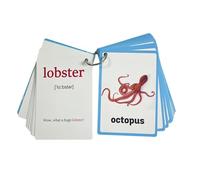 20 Hojas de Tarjetas didácticas de Vida, Tarjetas didácticas de Criaturas Marinas de 11x8 cm, Tarjeta de Palabras de Aprendizaje temprano para niños, Ayuda para la enseñanza de Idiomas, de en