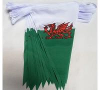 20 M 54 drapeau du Pays de Galles Motif Dragon gallois matière de fanions triangulaires