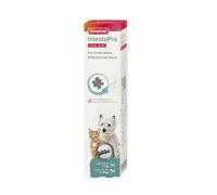 20 ml Beaphar IntestoPro Regulador Intestinal en Pasta para cachorros y gatos