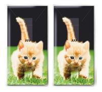 20 pañuelos individuales con motivos de animales hacia adelante. 2 paquetes de 10 pañuelos de papel individuales impresos como regalo.