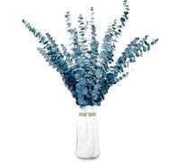 20 pcs Eucalipto Secado Naturales Flores Secas de 43cm, Planta de Eucalipto Azul Fresco Natural Hecha de Ramas de Hojas de eucalipto Reales para Decoración de Casas, Fiestas, Bodas