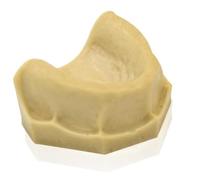 20 piezas de modelo de diente de yeso, modelo dental de alta simulación, modelo de diente de yeso, molde de dientes orales simulados
