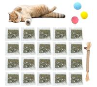 20 Piezas Hierba para Gatos, Hierba de Gato Seca, Hierba Gatera Gatos, Catnip Gatos, Hierba Gatera, Catnip para Gatos, Catnip Hierba Gatera, Catnip, Menta Gato Natural, Pelota de Peluche para Gatos