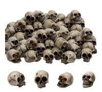 20 Piezas Mini Calaveras Decorativas, Decoración de Calaveras Resina