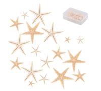 20 Piezas Mini Estrellas De Mar Pequeñas Decoración Estrella De Mar Naturales Estrella Decorativas De Mar Playa para La Playa Pintura Arte Manualidades（3-5CM）