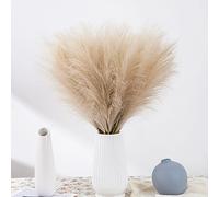 20 Piezas Pampas Artificiales Marrón Pampas Hierba Marrón Pampas decoración Seca Pampas Flores Ramos de Estar Dormitorio artesanía Oficina Mesa de Cocina decoración Boda Familiar Bohemia, 18 "/ 46cm