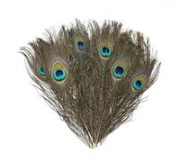20 Plumas de Pavo Real, Adorno de Plumas de Pavo Real, 25 Cm De Largo, Plumas Pavo Real Manualidades, Se Pueden Utilizar para La Decoración de Jarrones de Flores, Suministros de Ambiente de Fiesta
