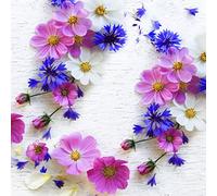 20 Servilletas Anemone Primavera Flores 33 cm