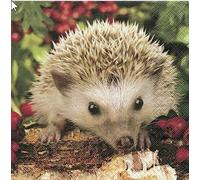 20 servilletas Barnie - El erizo Barni/Animales del bosque/Animales / Bosque 33 x 33 cm