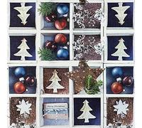 20 servilletas colección de invierno | invierno | Navidad | decoración de mesa | decoupage | decoupage | servilletería 33 x 33 cm