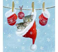 20 servilletas con diseño de gatos dormidos en gorro de invierno | Decoración de mesa | Navidad 33 x 33 cm