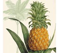 20 servilletas con diseño de piña, servilletas de frutas y piñas, decoración de mesa de verano, decoupage, decoupage, decoupage, decoupage, decoupage, decoupage, decoupage, decoupage, decoupa