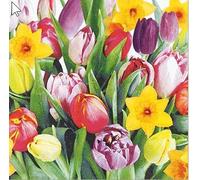 20 servilletas con forma de tulipanes (33 x 33 cm), diseño de ramo de tulipanes